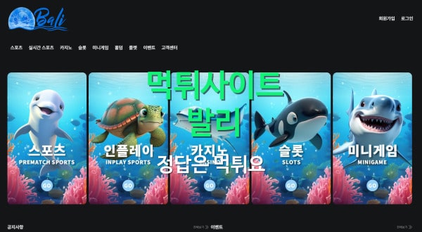 먹튀 발리