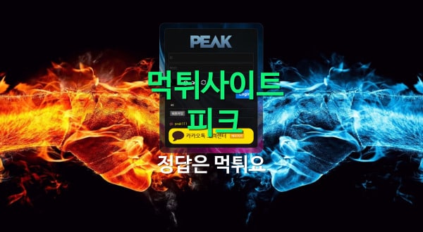 피크 먹튀 사이트 정답은 먹튀요